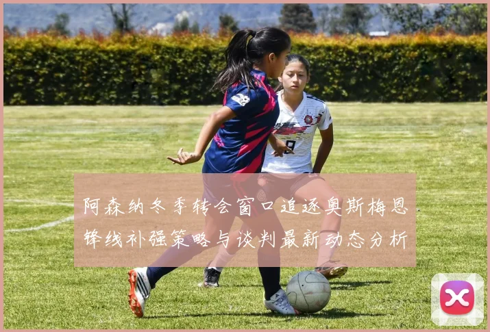 阿森纳冬季转会窗口追逐奥斯梅恩锋线补强策略与谈判最新动态分析