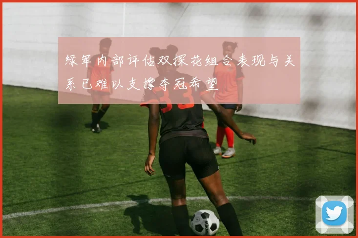 绿军内部评估双探花组合表现与关系已难以支撑夺冠希望
