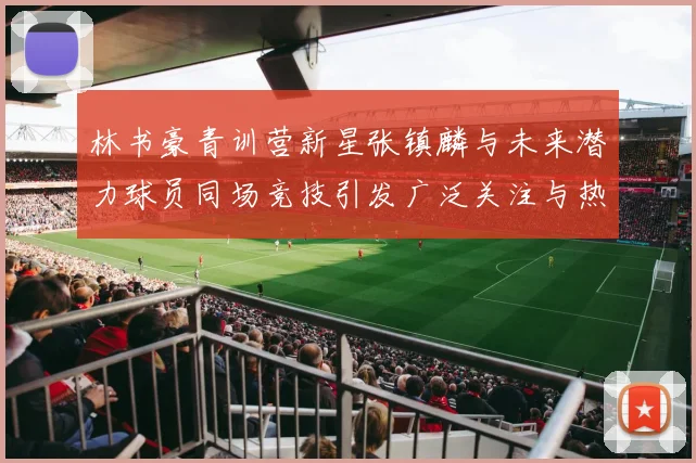 林书豪青训营新星张镇麟与未来潜力球员同场竞技引发广泛关注与热议